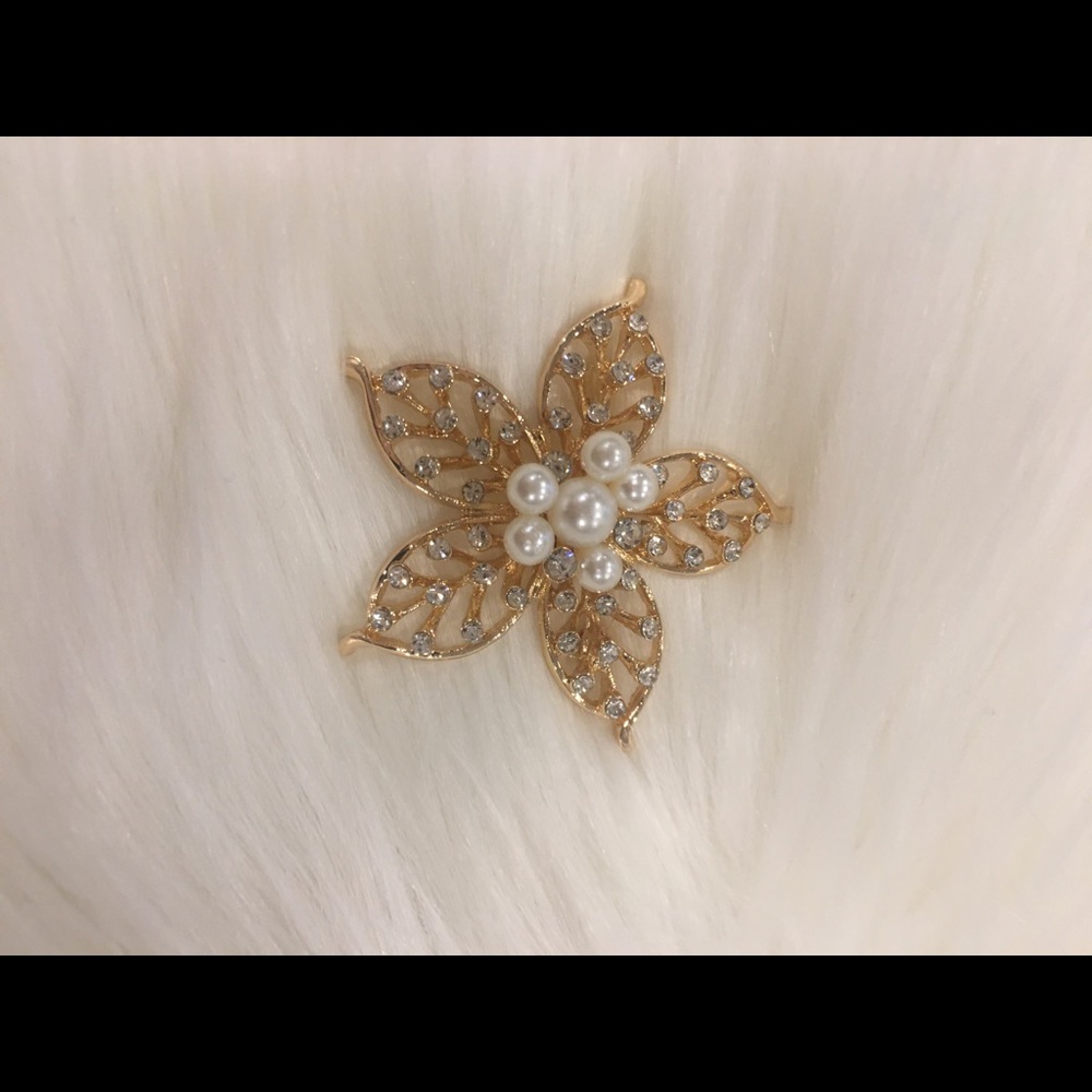 Brooch No:34